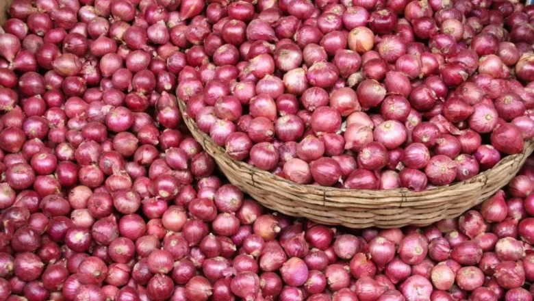Sirrin Lafiyar Hanta – Garkuwar Halitta Ga Masu Ciwon Hanta