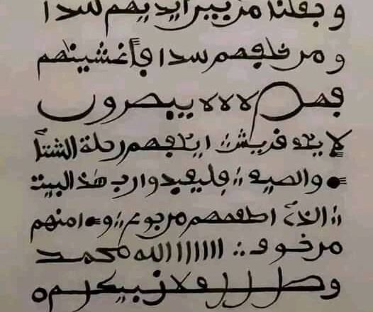 Garkuwar Gargajiya: Sirrin Maganin Mayu da Hikimar Kare Kai a Al’adar Hausawa